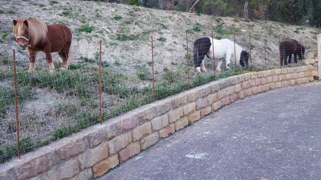 B&B Da Pietro Calascibetta Εξωτερικό φωτογραφία
