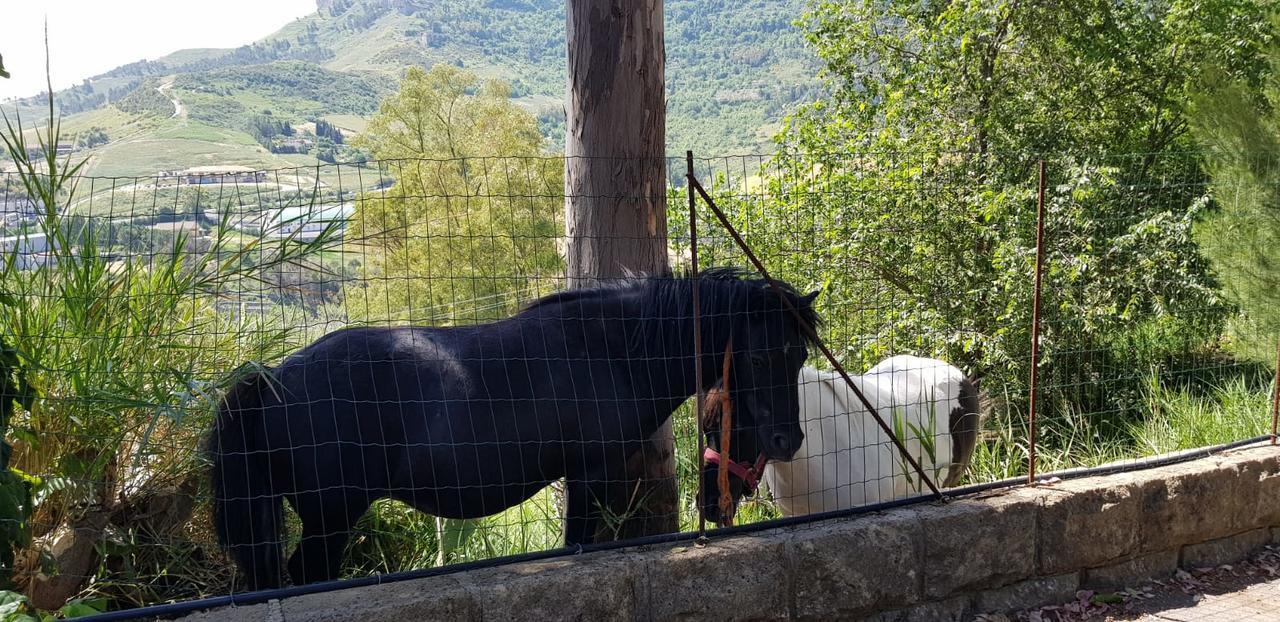 B&B Da Pietro Calascibetta Εξωτερικό φωτογραφία